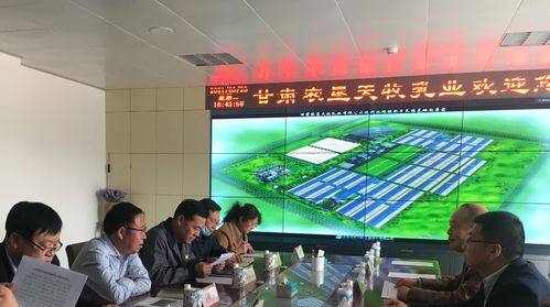 金川區科技局精準發力 提升科技服務能力，多維支撐企業高質量發展
